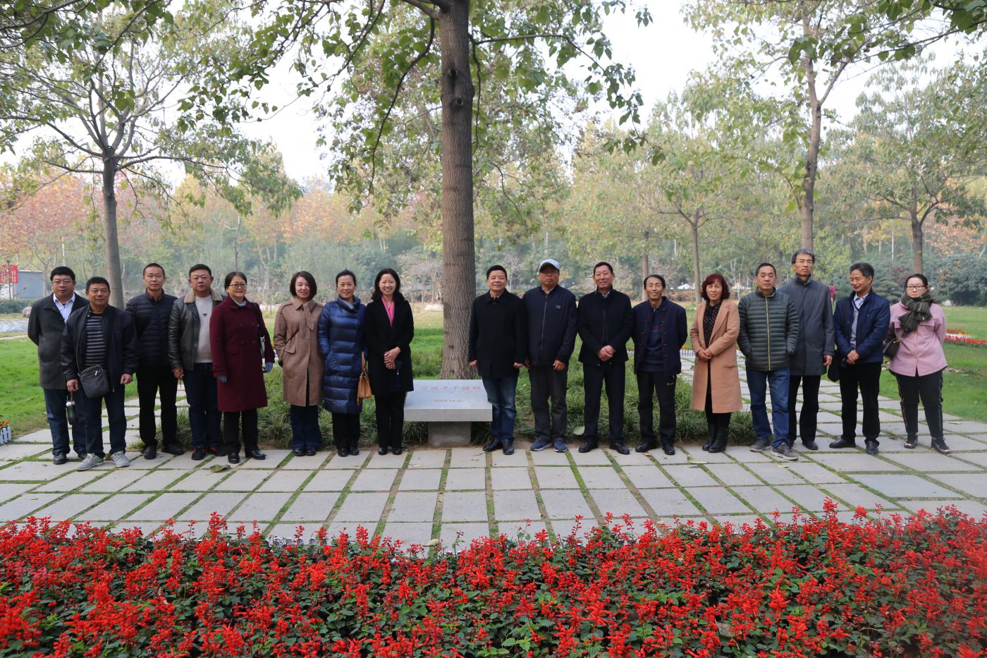 5de08c94915af.JPG